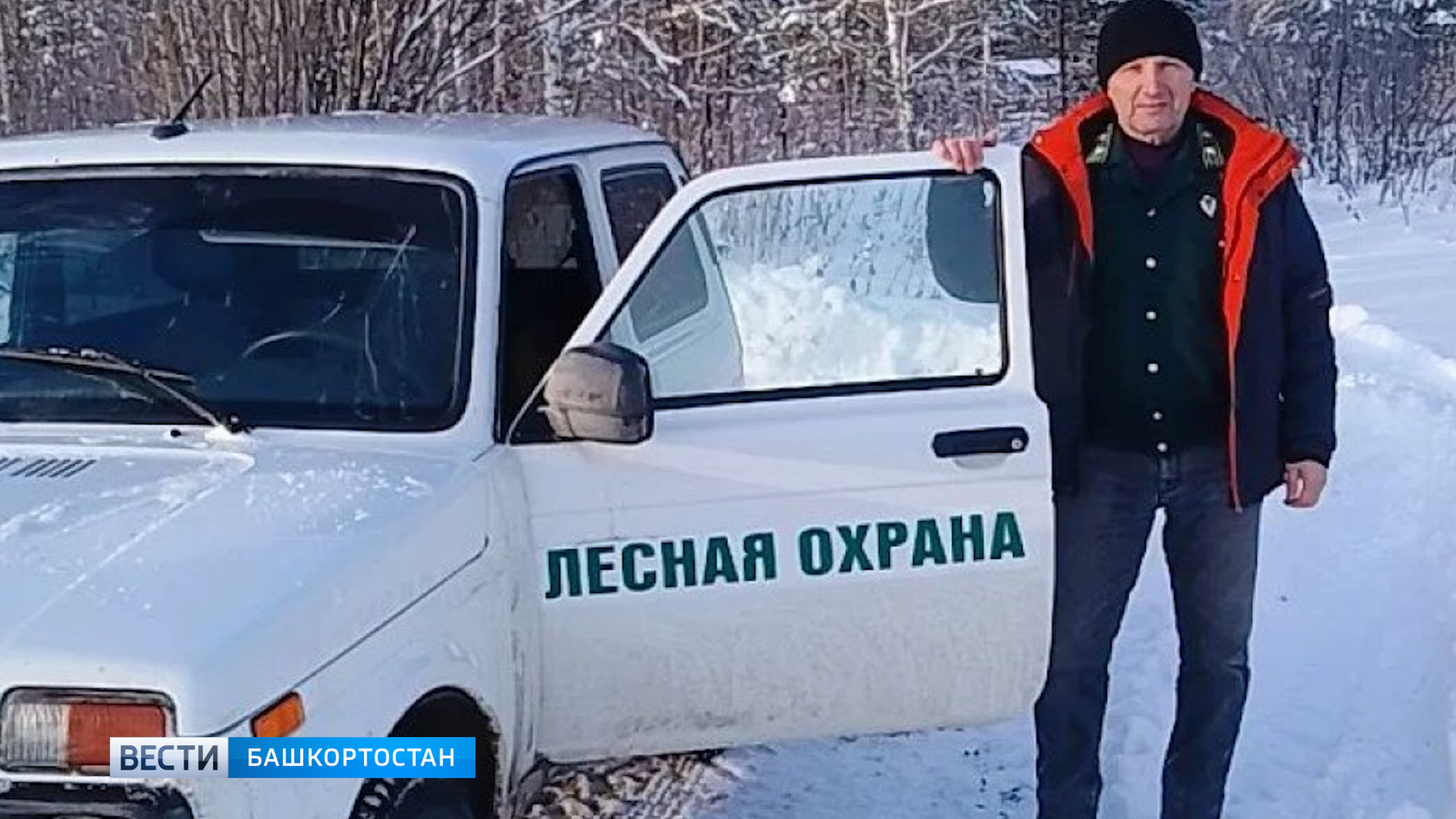 Урман һағында ныҡ торалар