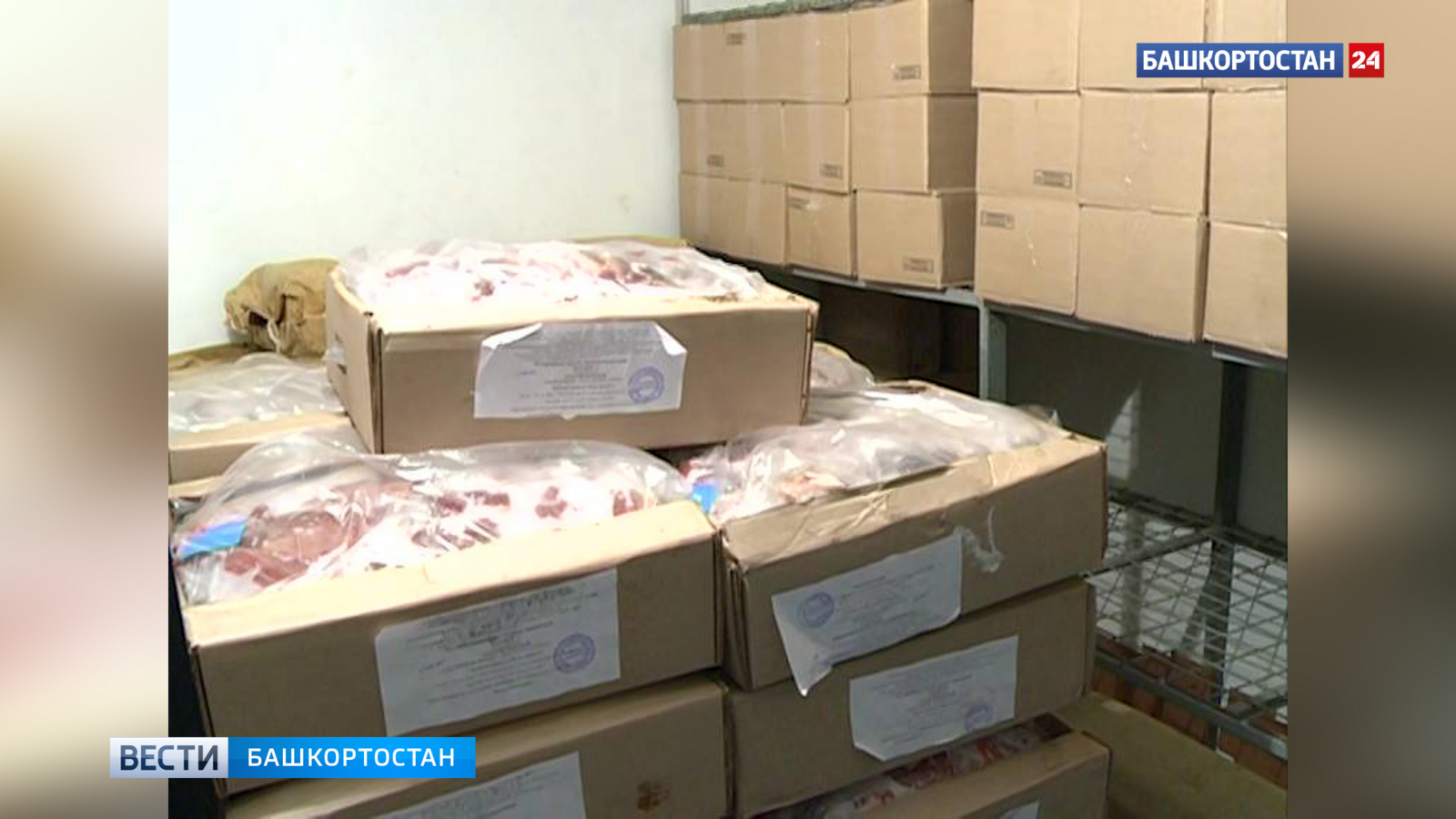 Ит эшкәртеү предприятиеһы сусҡа ите етештереүҙе арттыра