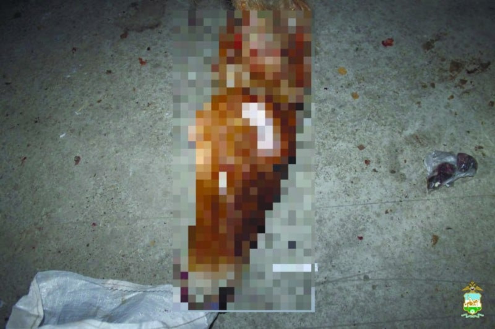 Ат ҡараҡтары тотолған..