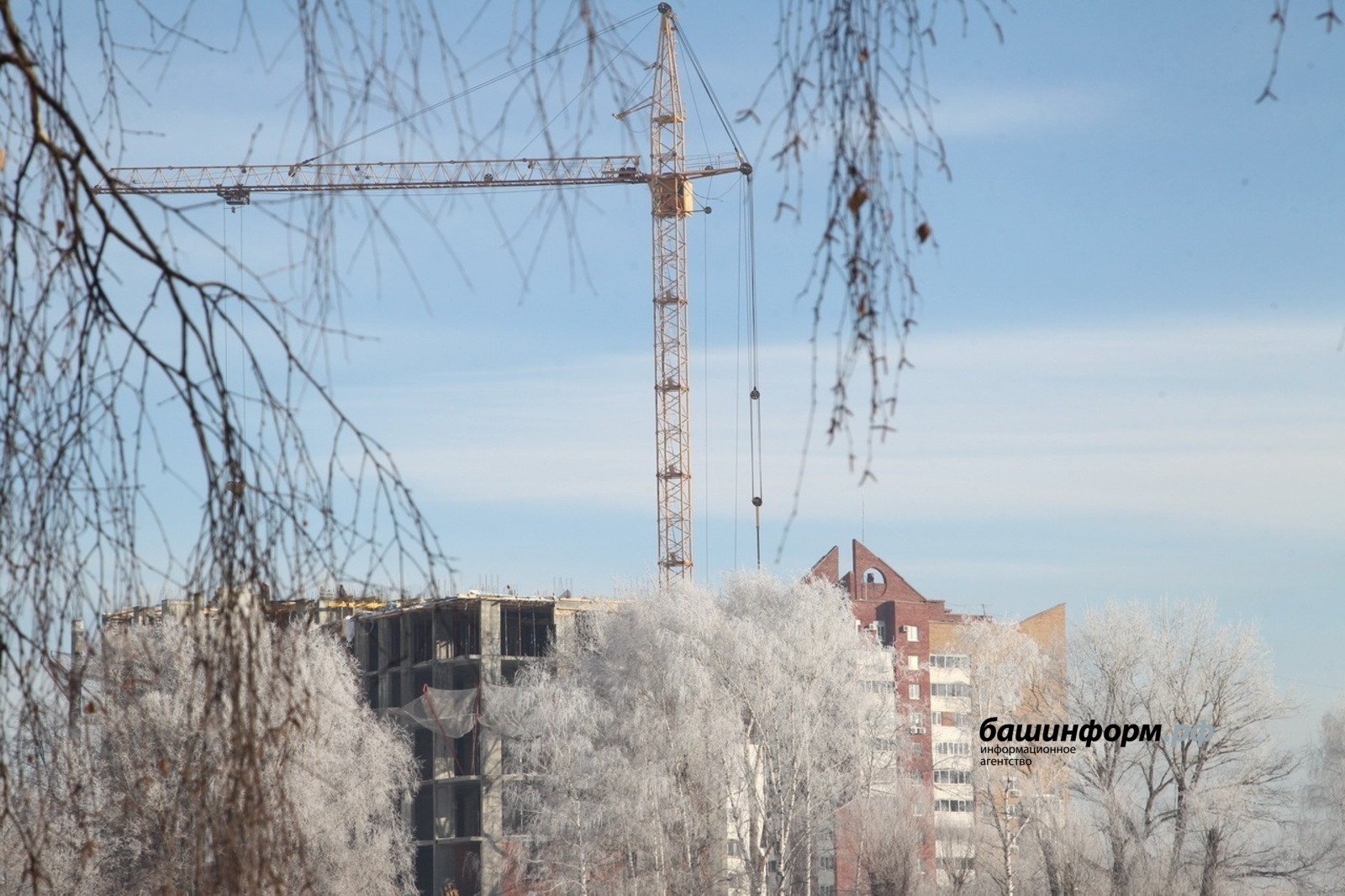 Башҡортостанда торлаҡтың уртаса баҙар хаҡы арттырылды