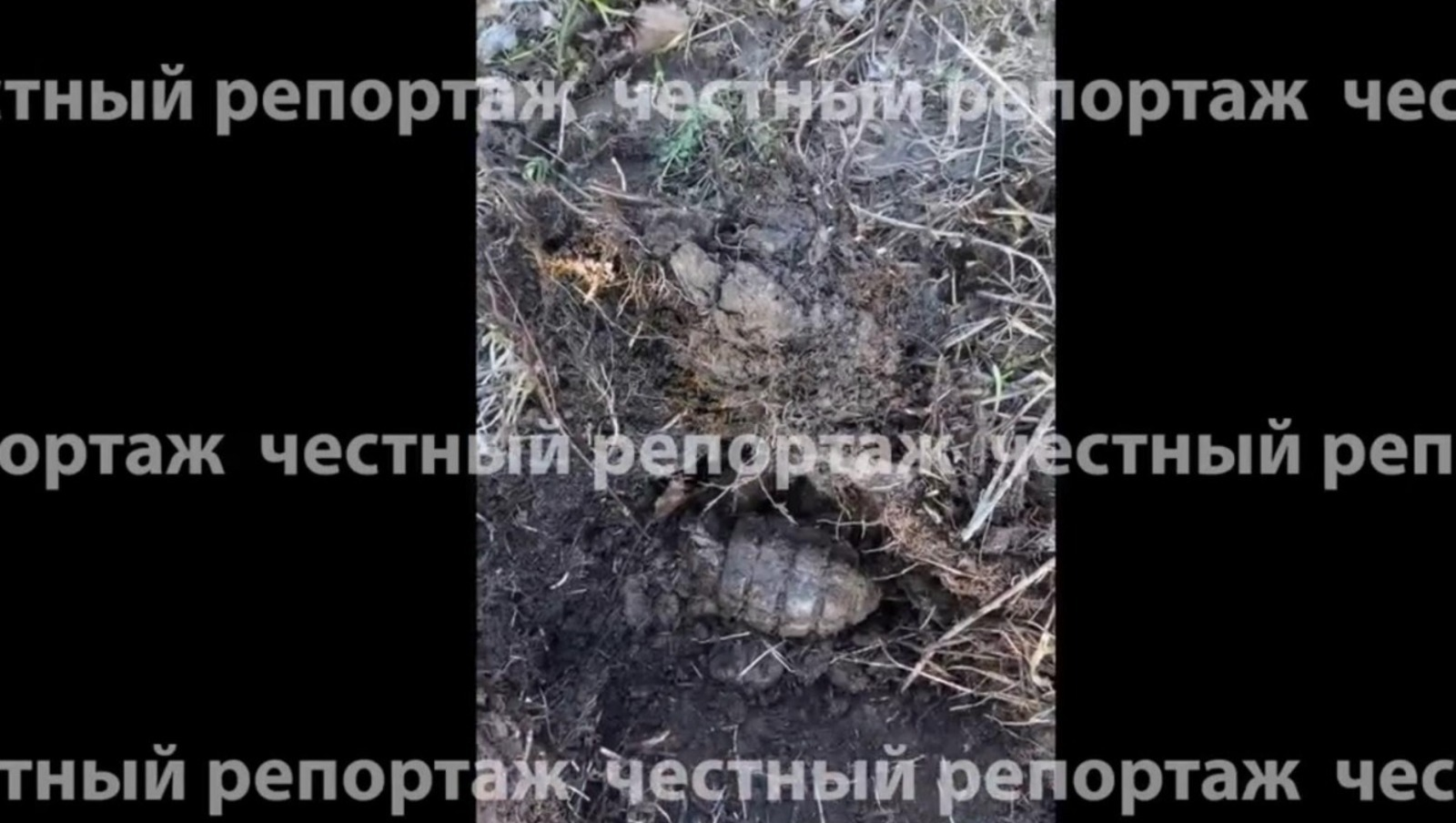 Фермер баҫыуҙа  граната тапҡан...