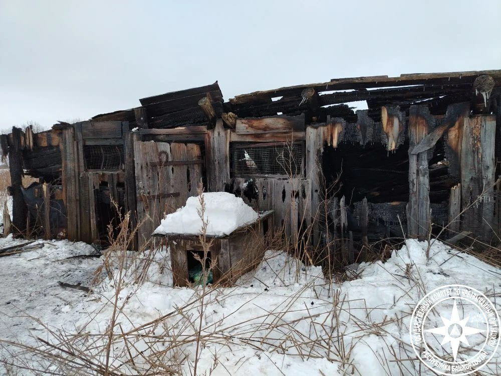 Янған кәртәлә мәйет тапҡандар...