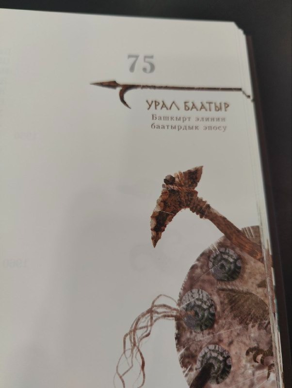 Мәшһүр эпосыбыҙ ҡырғыҙ телендә донъя күрҙе