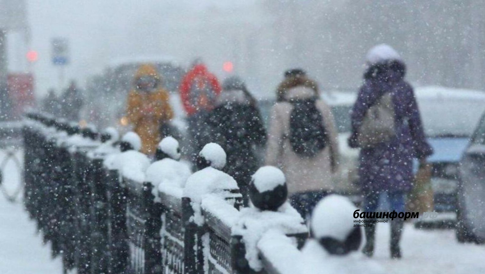 2025 йылдың декабрендә ниндәй закондар үҙ көсөнә инә?