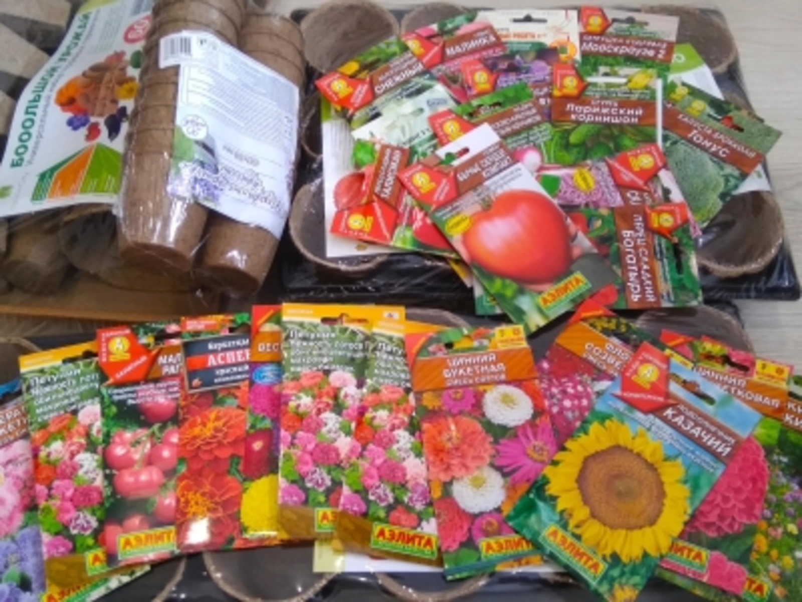 Орлоҡтарҙы нисек һайларға?