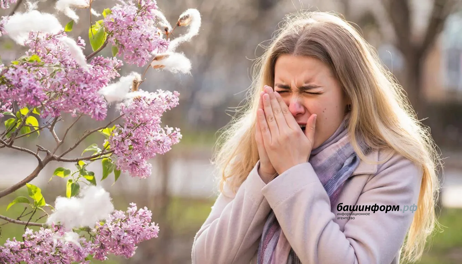 Хәүефле ағастар