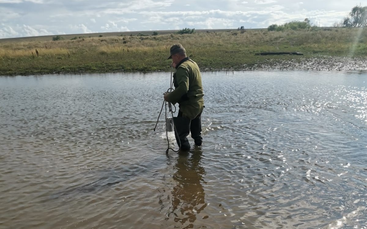 Быҙаулыҡ һәм Таналыҡ йылғаларында тикшереү уҙғарылған