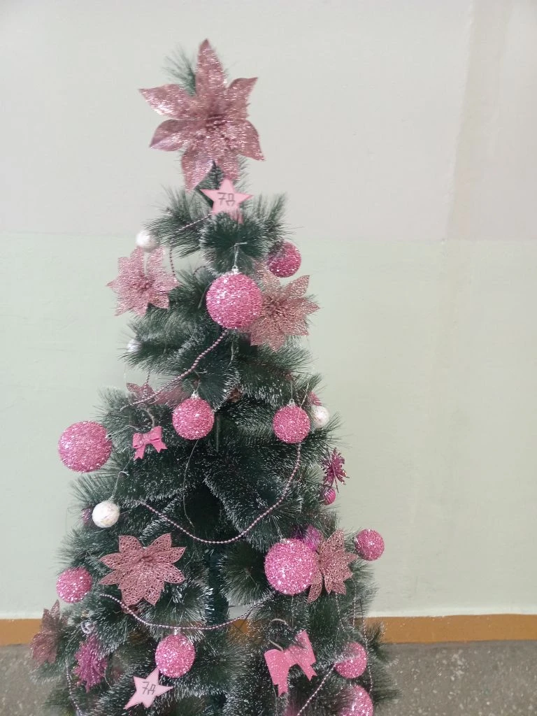 Яңы йыл байрамына ниндәй шыршыны һайларға?