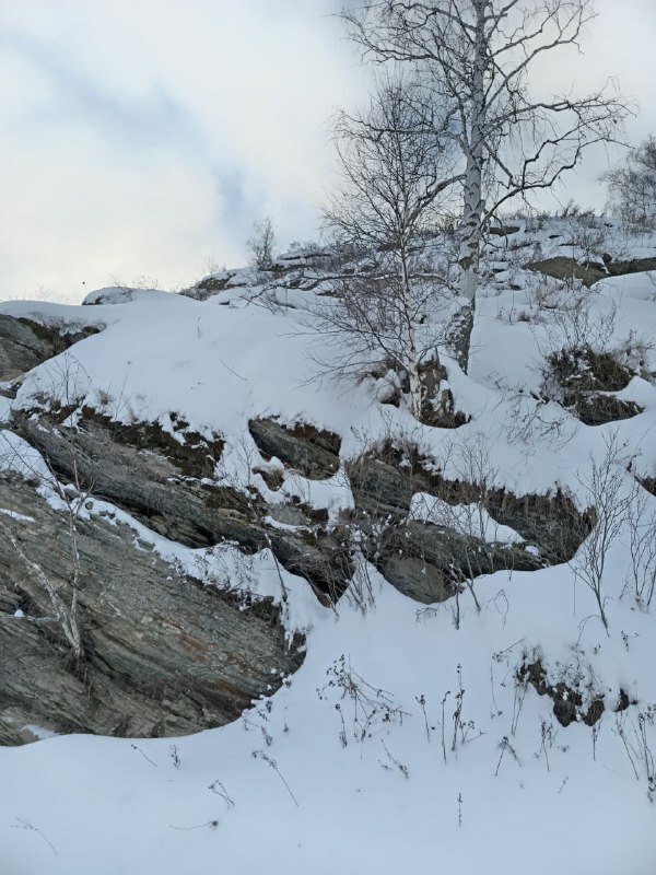 Ғинуар һынамыштары