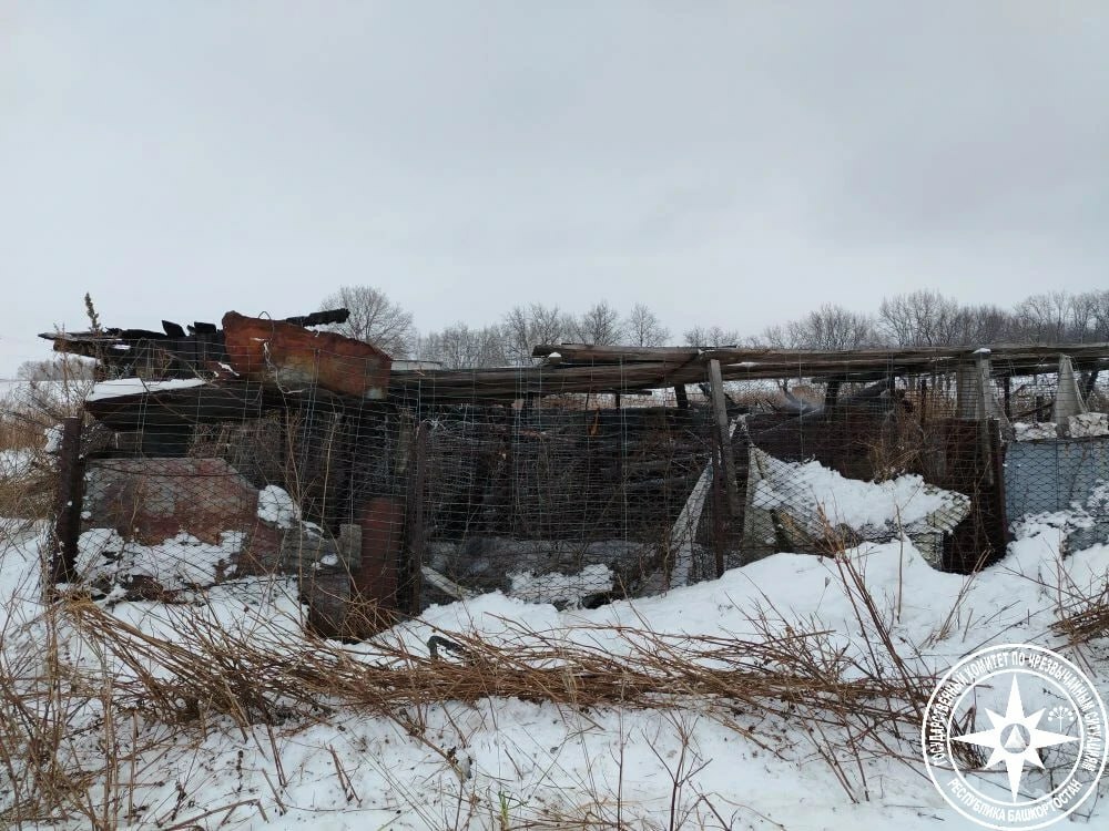 Янған кәртәлә мәйет тапҡандар...