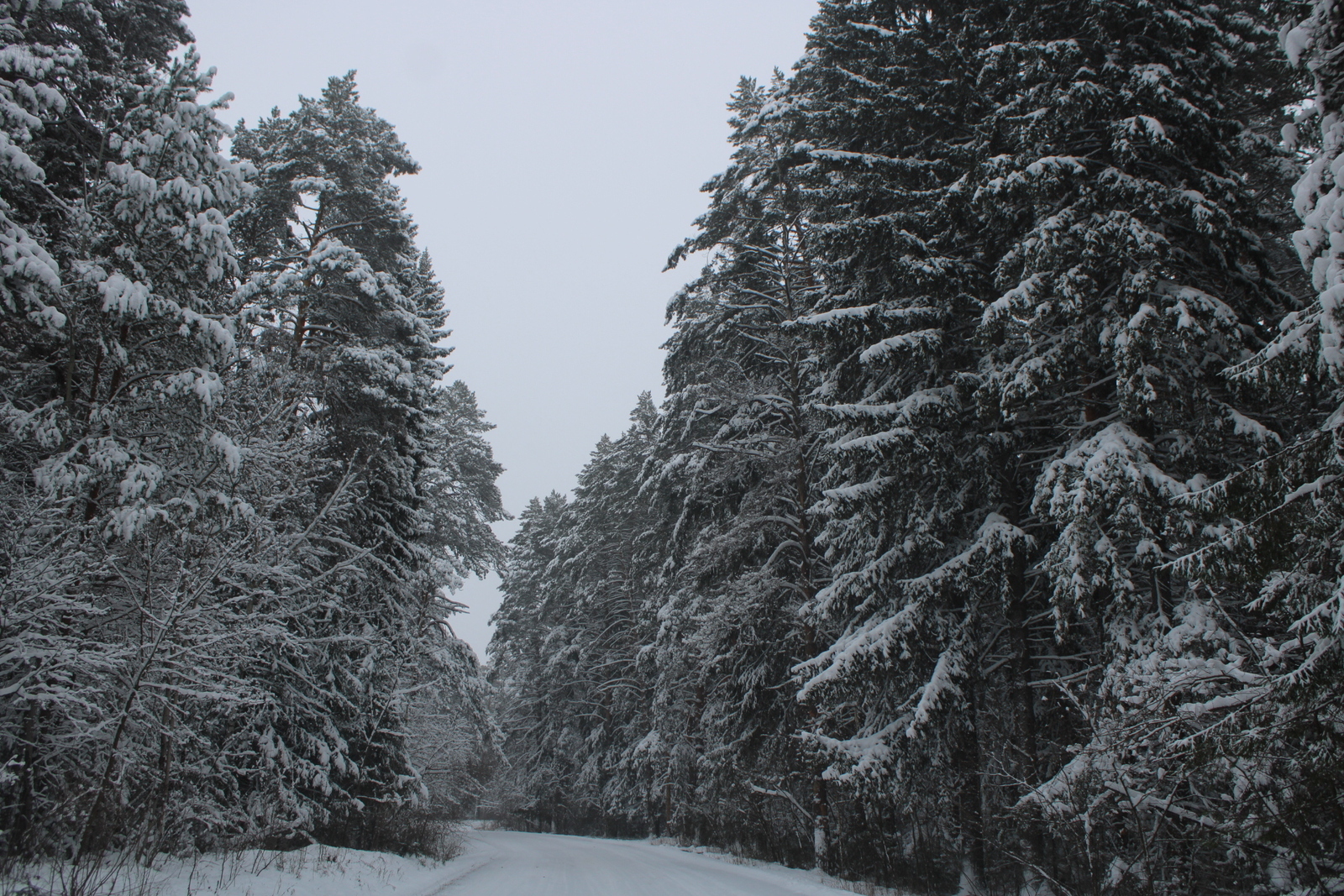 Буласаҡ һунарсылар тест үтә