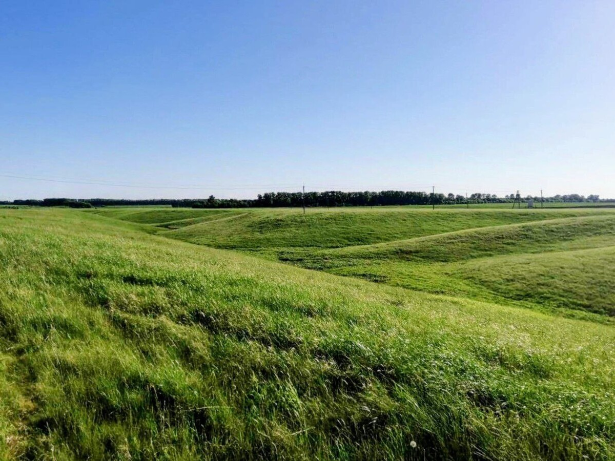 Витаминлы яҙғы ризыҡтар әҙерләйек, иммунитетты нығытайыҡ!