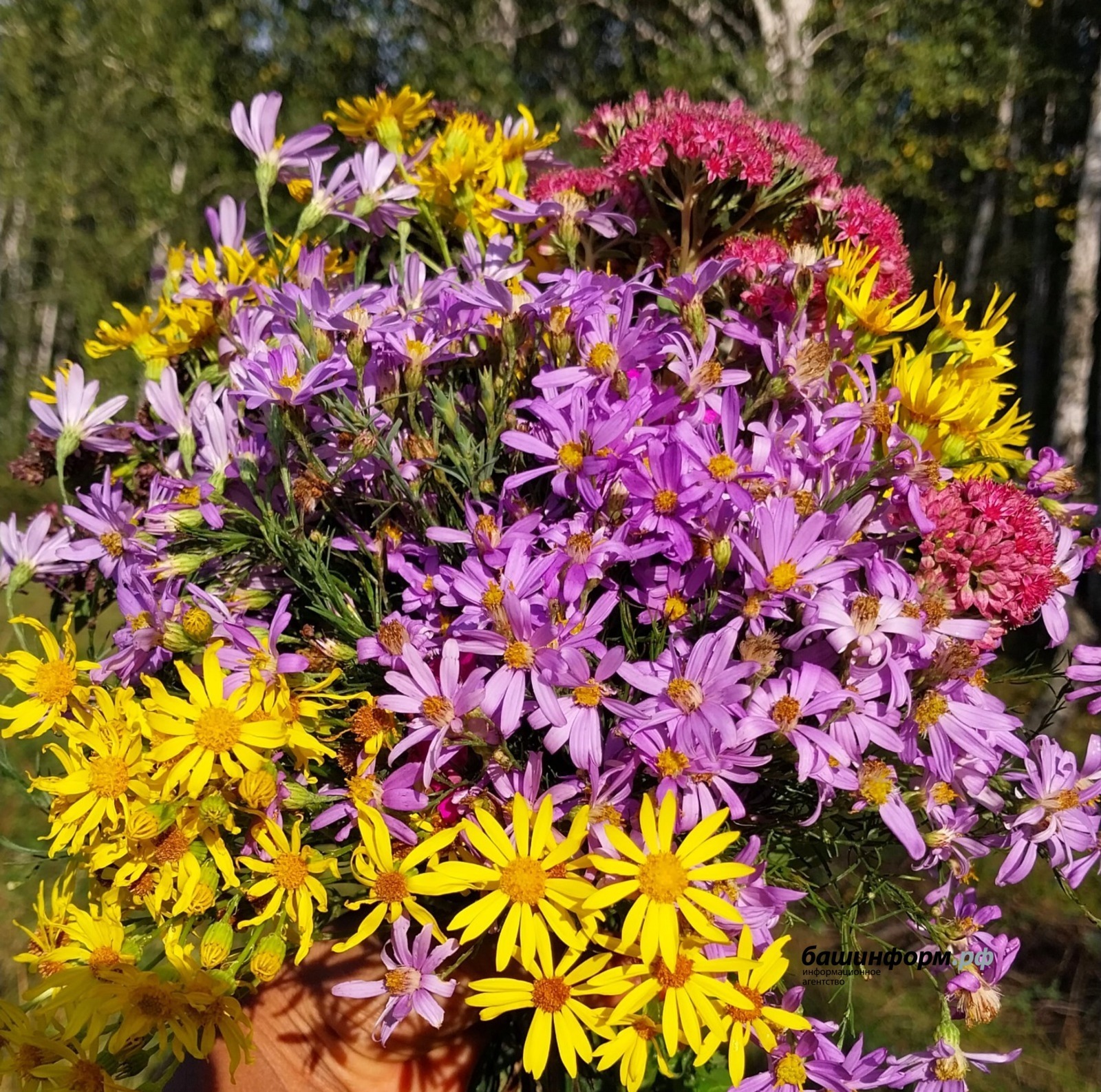 В воскресенье в Башкирии ожидается жаркая погода