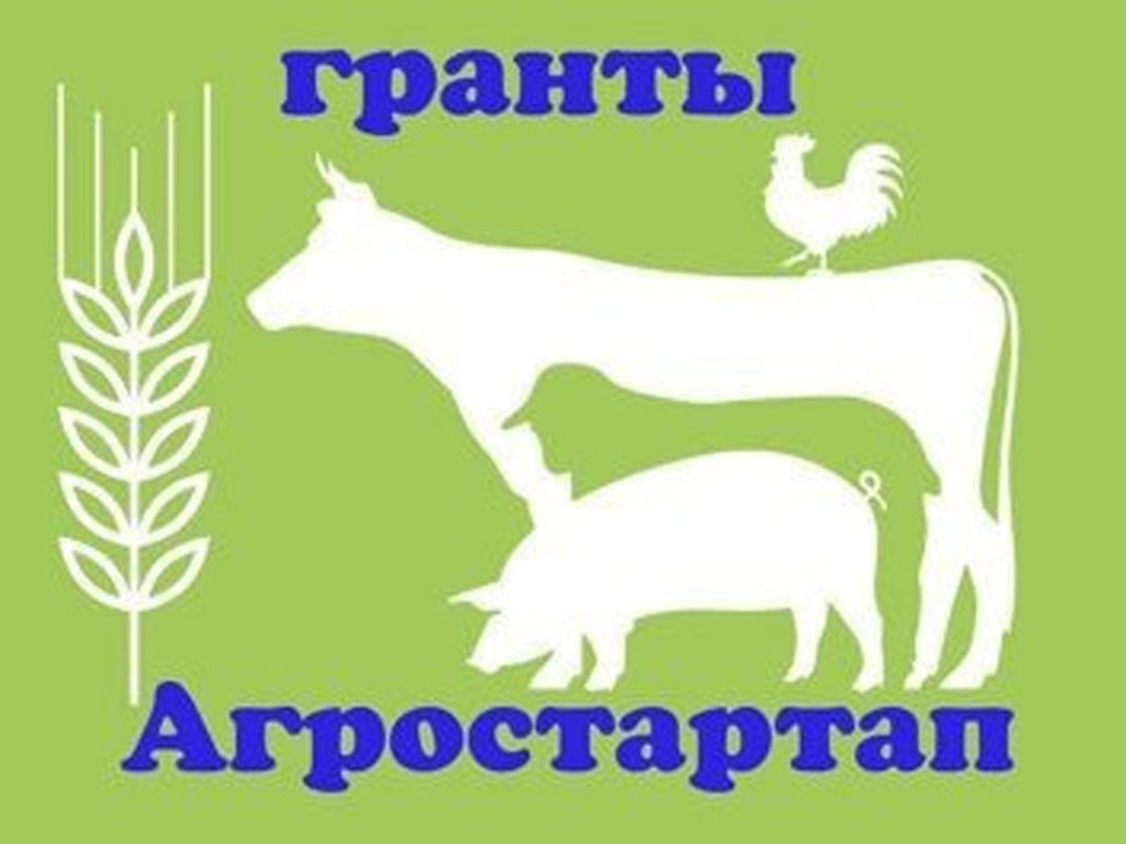 Башҡортостанда "Агростартап" конкурсына ғаризалар ҡабул ителә башлай