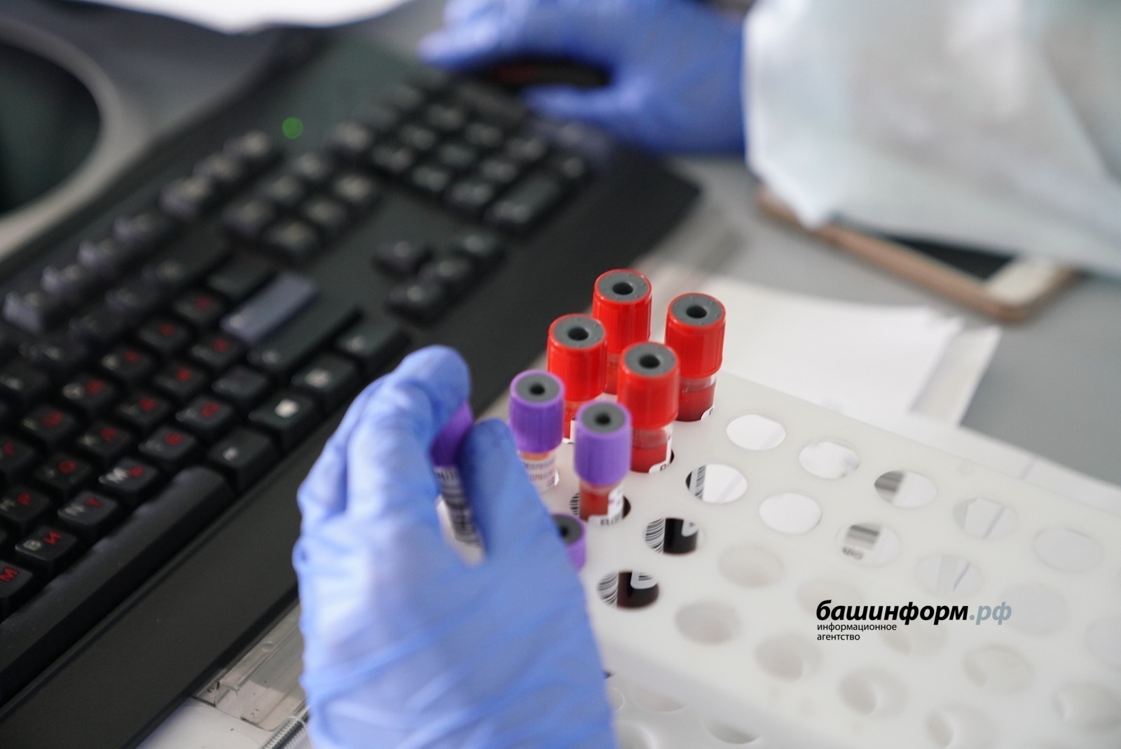 Башҡортостанда өс кеше ҡотороу ауырыуы йоҡторған