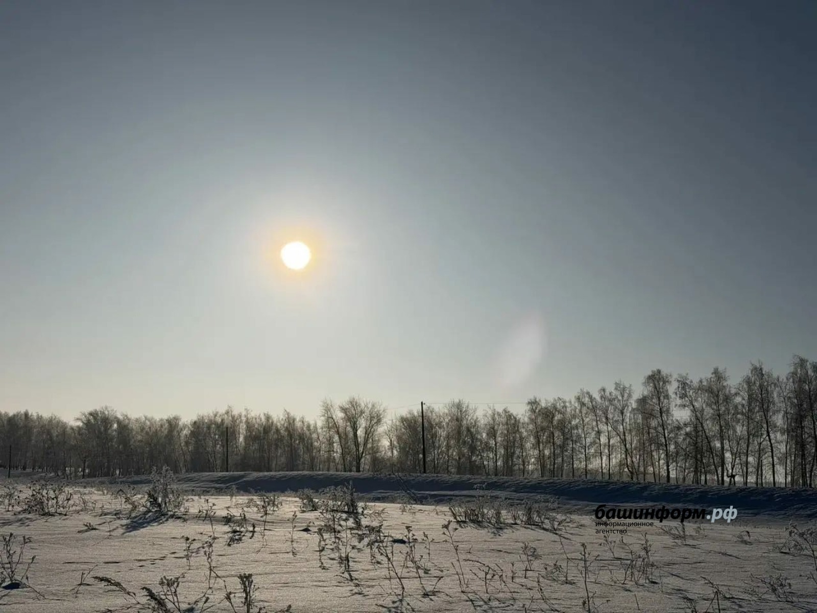 Башҡортостанда көндәр йылыта